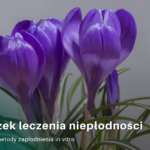 Słowniczek leczenia niepłodności, IVF, ICSI, IMSI - metody zapłodnienia in vitro, OVIKLINIKA