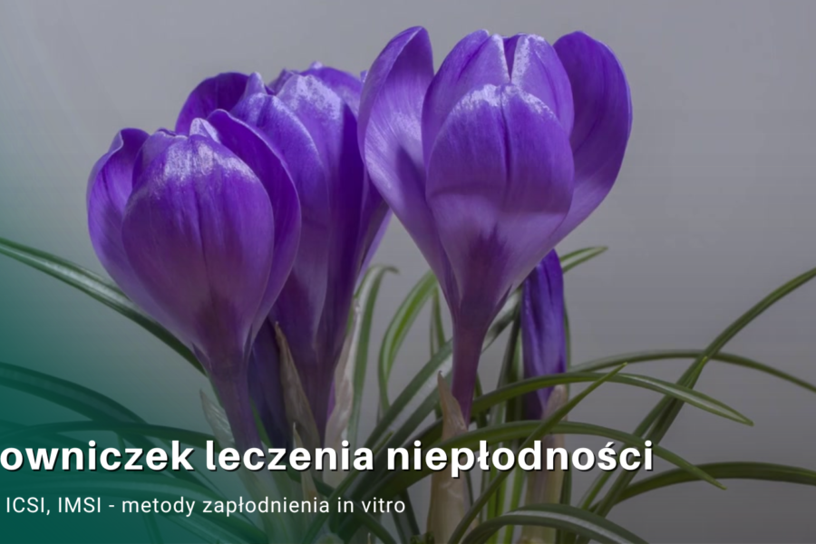 IVF, ICSI, IMSI – metody zapłodnienia in vitro