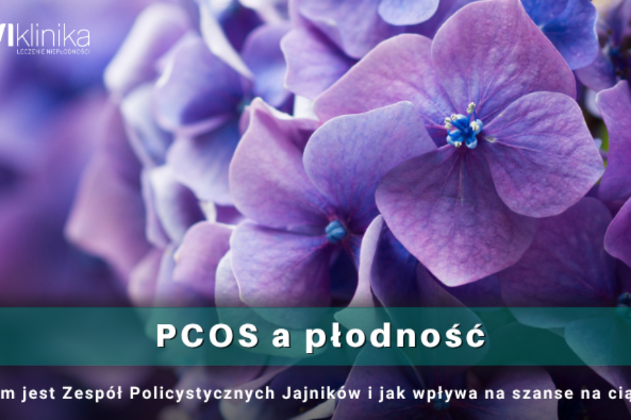 PCOS a płodność – czym jest zespół policystycznych jajników i jak wpływa na szanse na ciążę