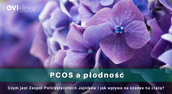 PCOS a płodność – czym jest zespół policystycznych jajników i jak wpływa na szanse na ciążę