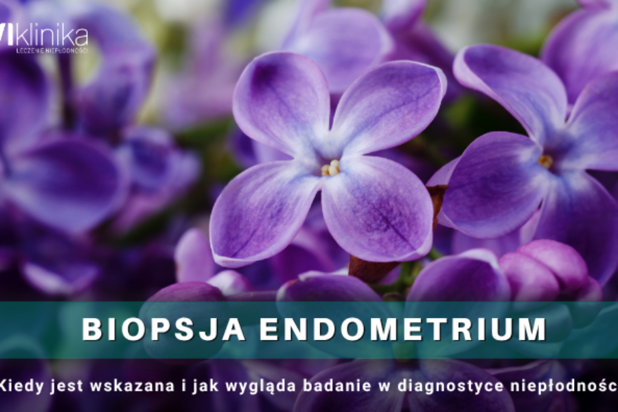 Biopsja Endometrium – kiedy jest wskazana i jak wygląda badanie w diagnostyce niepłodności