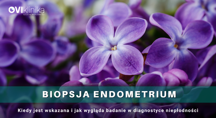 Biopsja Endometrium – kiedy jest wskazana i jak wygląda badanie w diagnostyce niepłodności